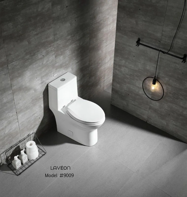 Modern One-Piece Toilet TM9009