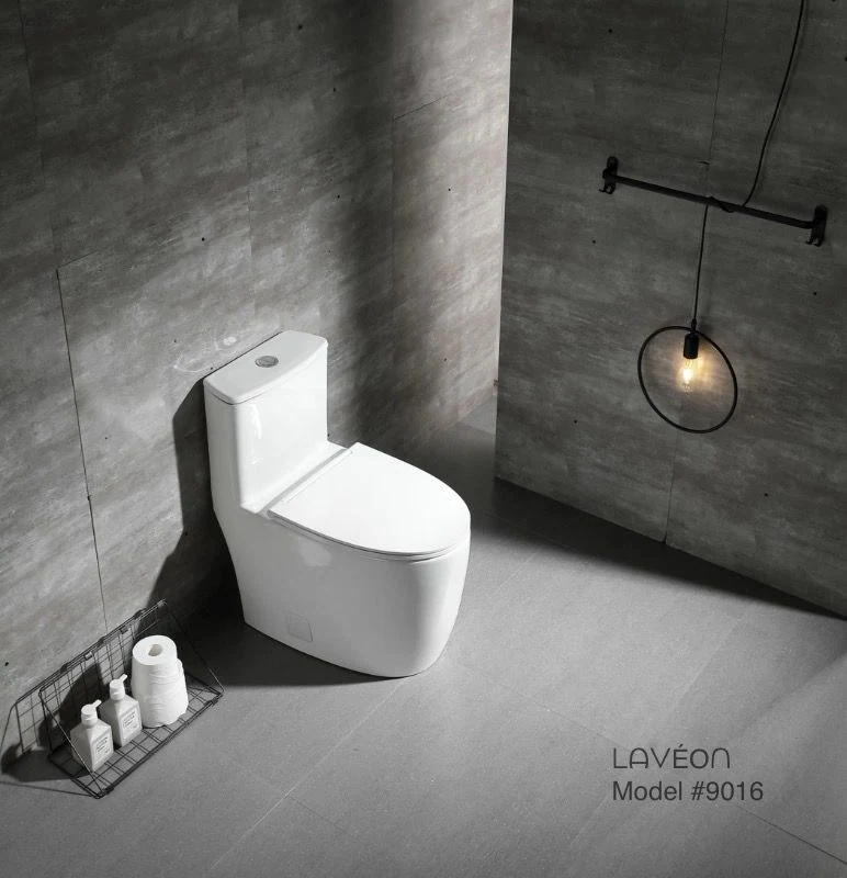 Modern One-Piece Toilet TM9016